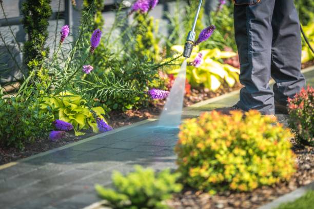 Best Gutter Cleaning  in Bowman, ND