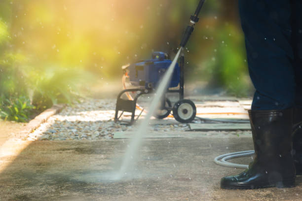 Best Sidewalk and Walkway Cleaning  in Bowman, ND